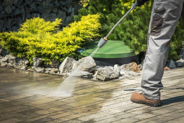 Best Fence Cleaning and Maintenance in Elroy, WI